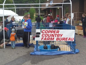 Farm on the Town 2014 - CCFB Image