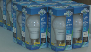 LED Light Bulbs HEET