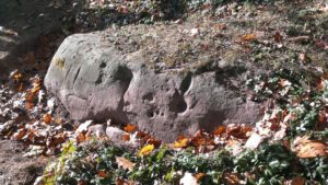 Rock, Upper Planting River Petroglyphs