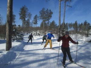 skiers-cross-country